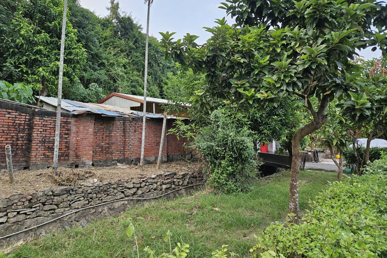 Ziqiang Village