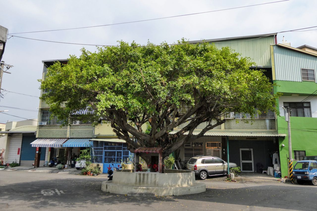 Pingtung Veterans General Hospital