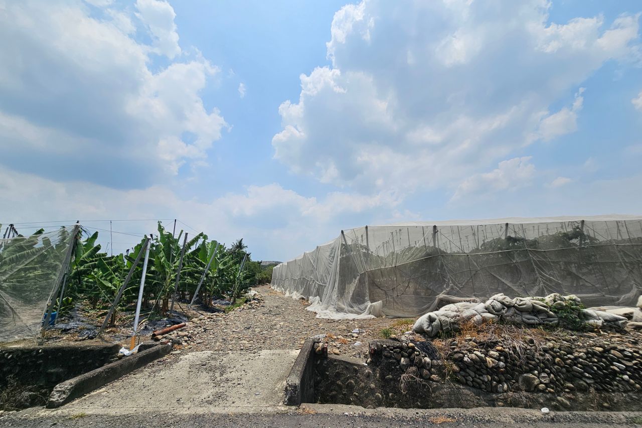 Dingyuan Community