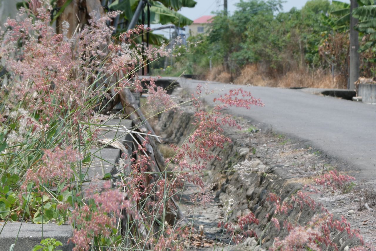 Dingyuan Community